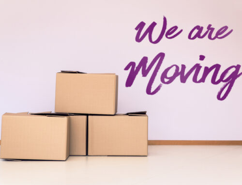 Moving on a Budget: A Comprehensive Guide to Affordable Relocation with Cheap Movers Riverside